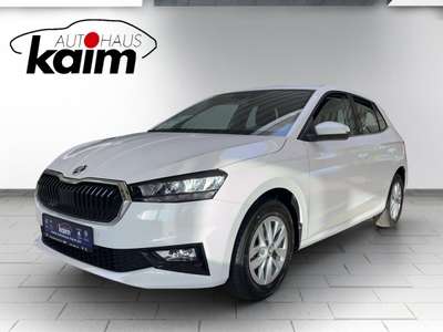 Bild Skoda Fabia