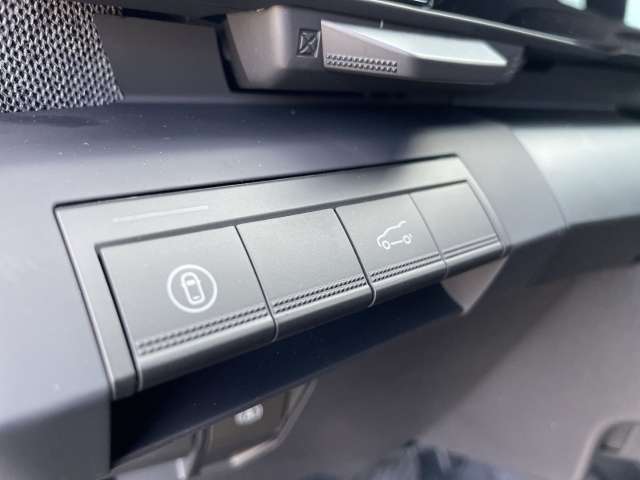 Fahrzeugbild eines Renault Scénic