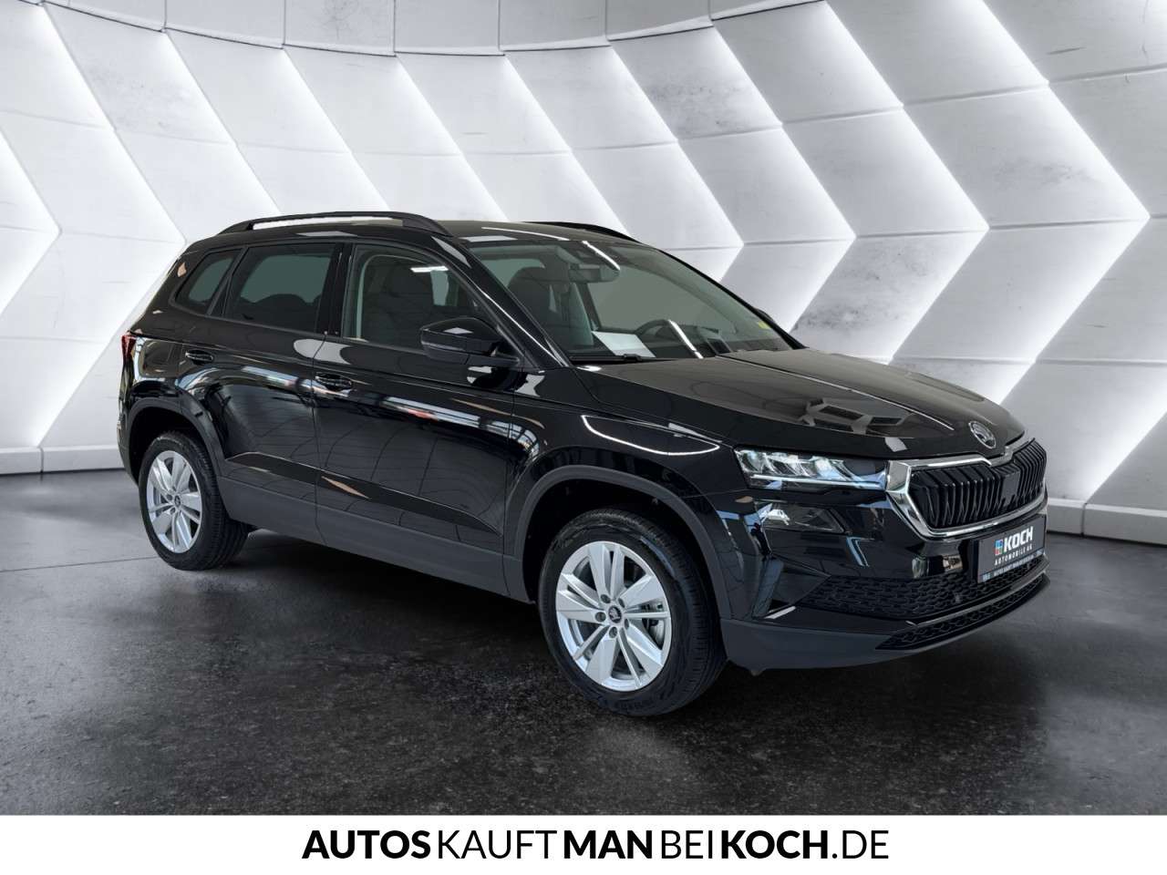 Fahrzeugbild eines Skoda Karoq