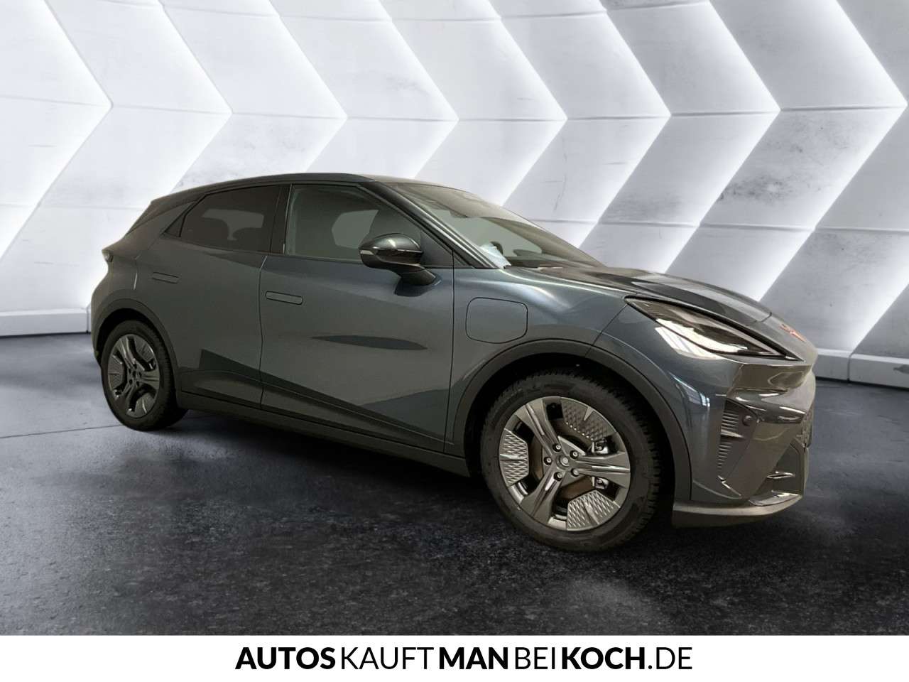 Fahrzeugbild eines CUPRA Raval