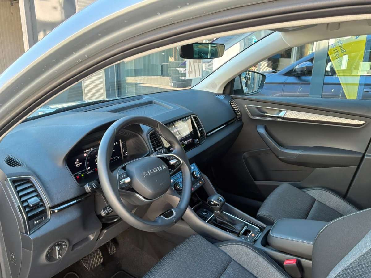 Fahrzeugbild eines Skoda Karoq