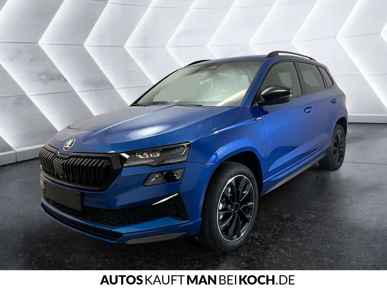 Fahrzeugbild eines Skoda Karoq