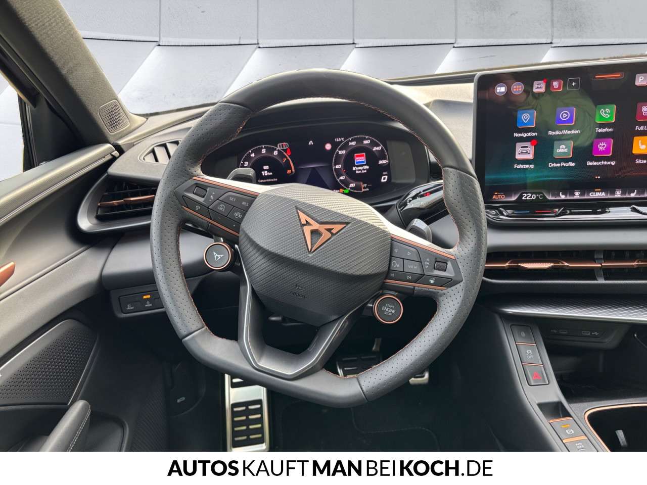 Fahrzeugbild eines CUPRA Terramar