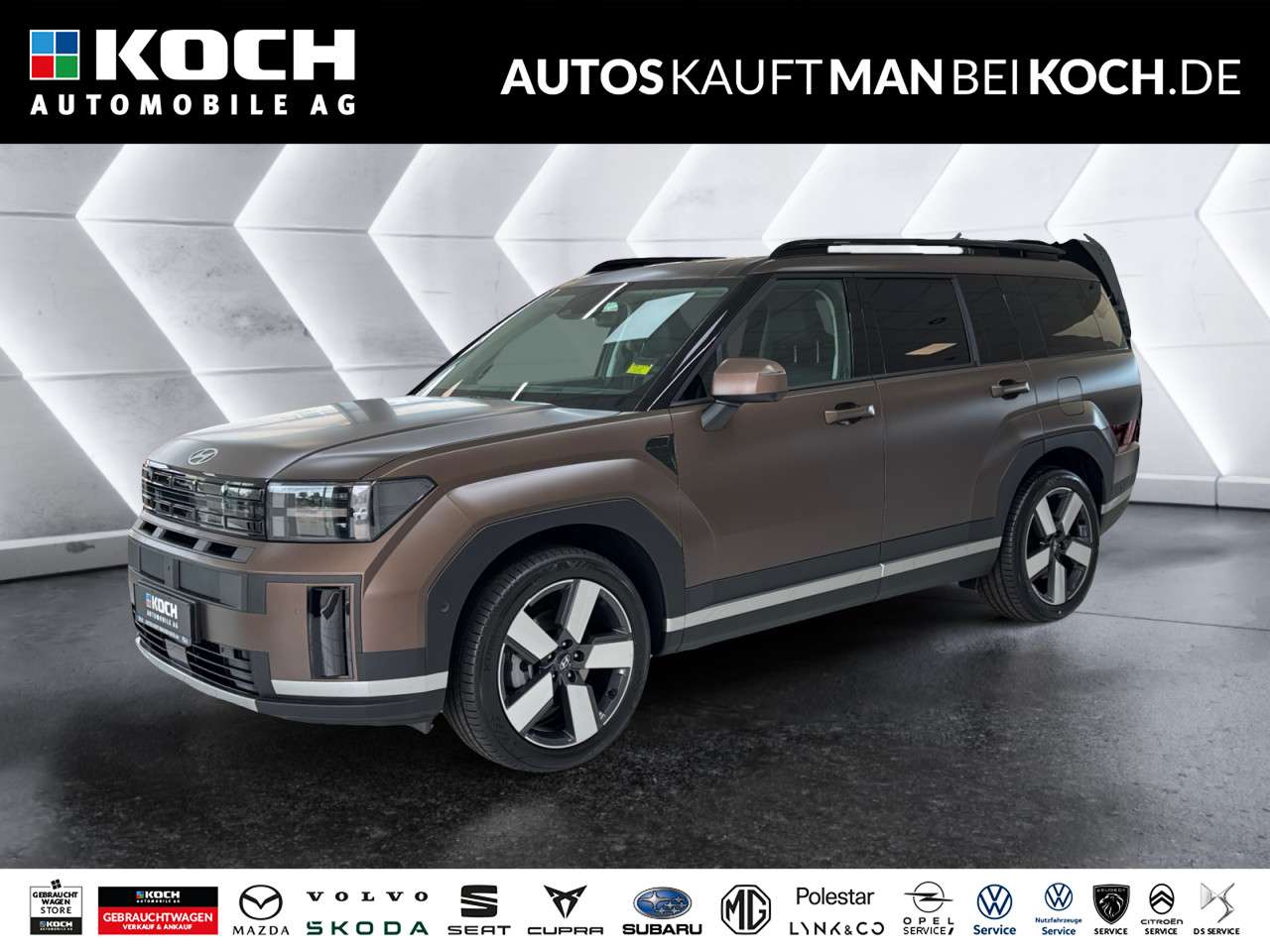 Fahrzeugbild eines Hyundai Santa Fe