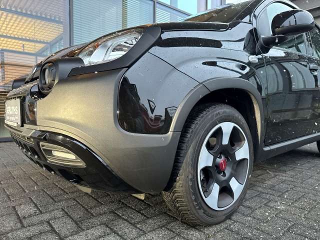 Fahrzeugbild eines Fiat Panda