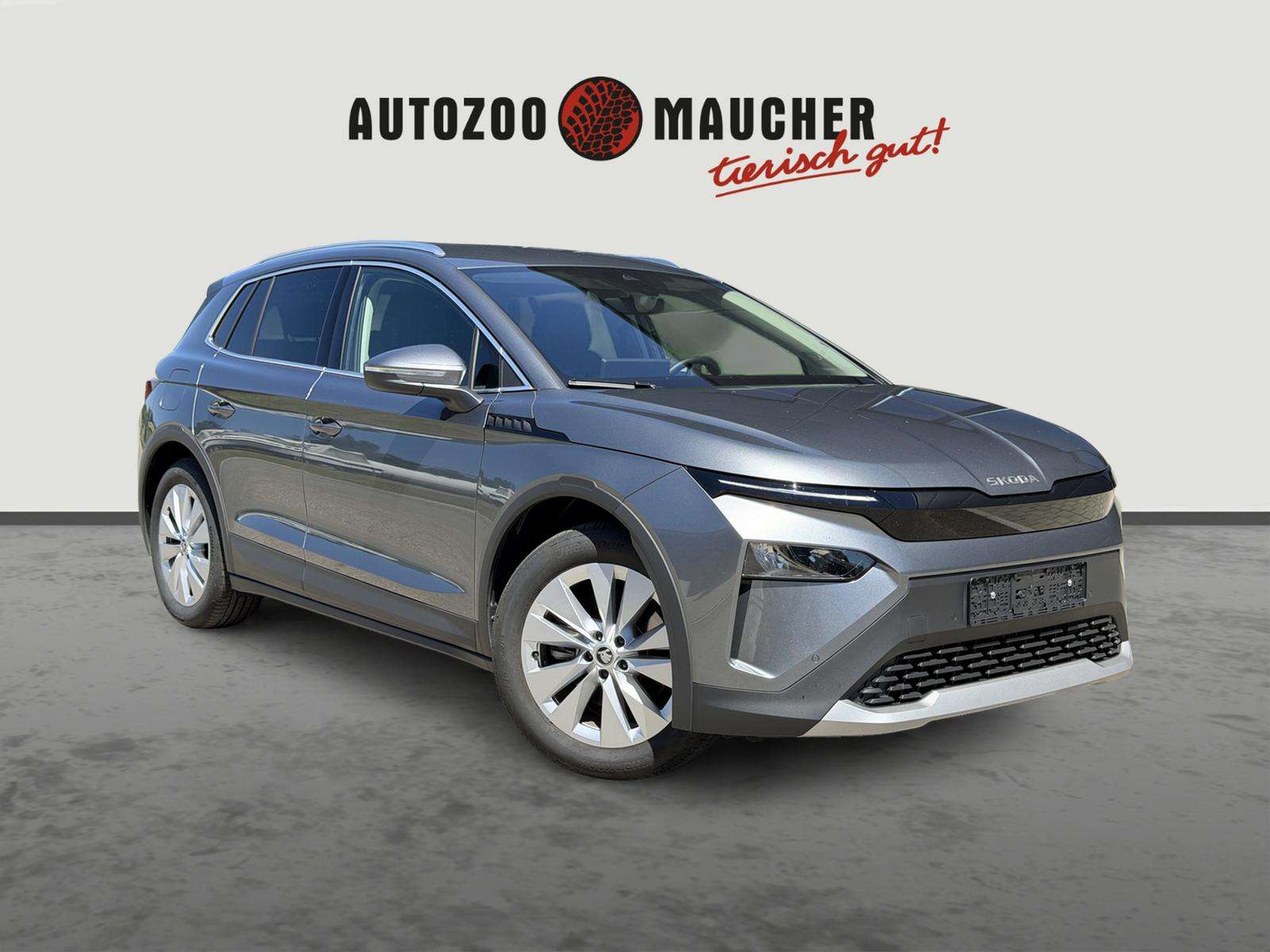 Fahrzeugbild eines Skoda ELROQ