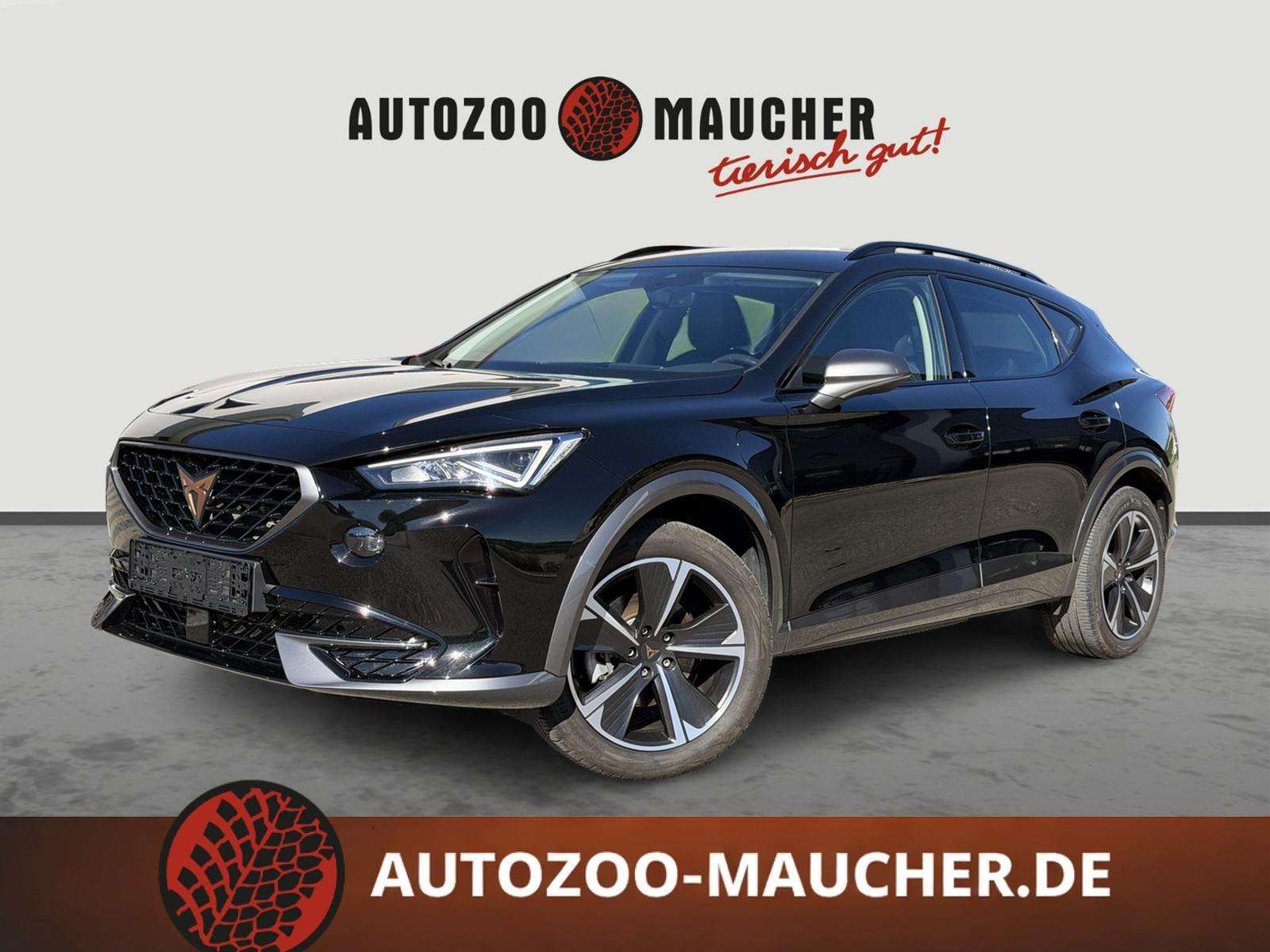 Fahrzeugbild eines CUPRA Formentor