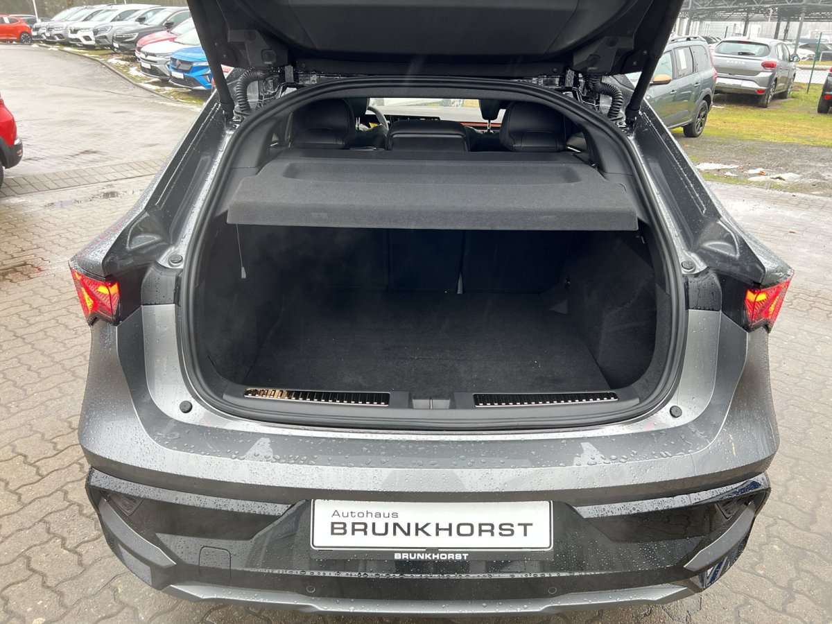 Fahrzeugbild eines Renault Rafale