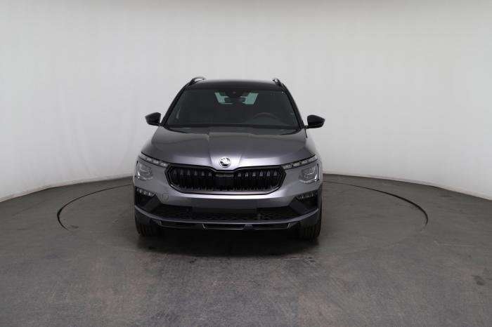 Fahrzeugbild eines Skoda Kamiq