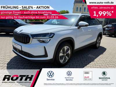 Bild Skoda Kodiaq