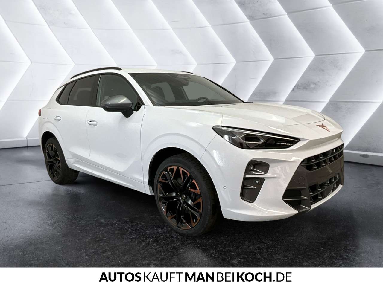 Fahrzeugbild eines CUPRA Terramar