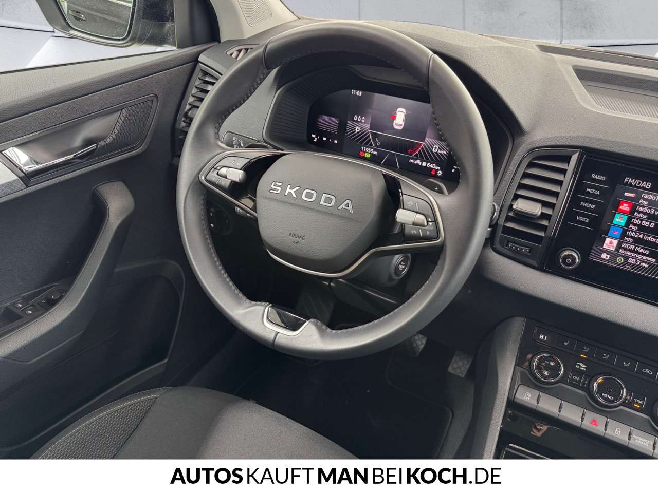 Fahrzeugbild eines Skoda Karoq