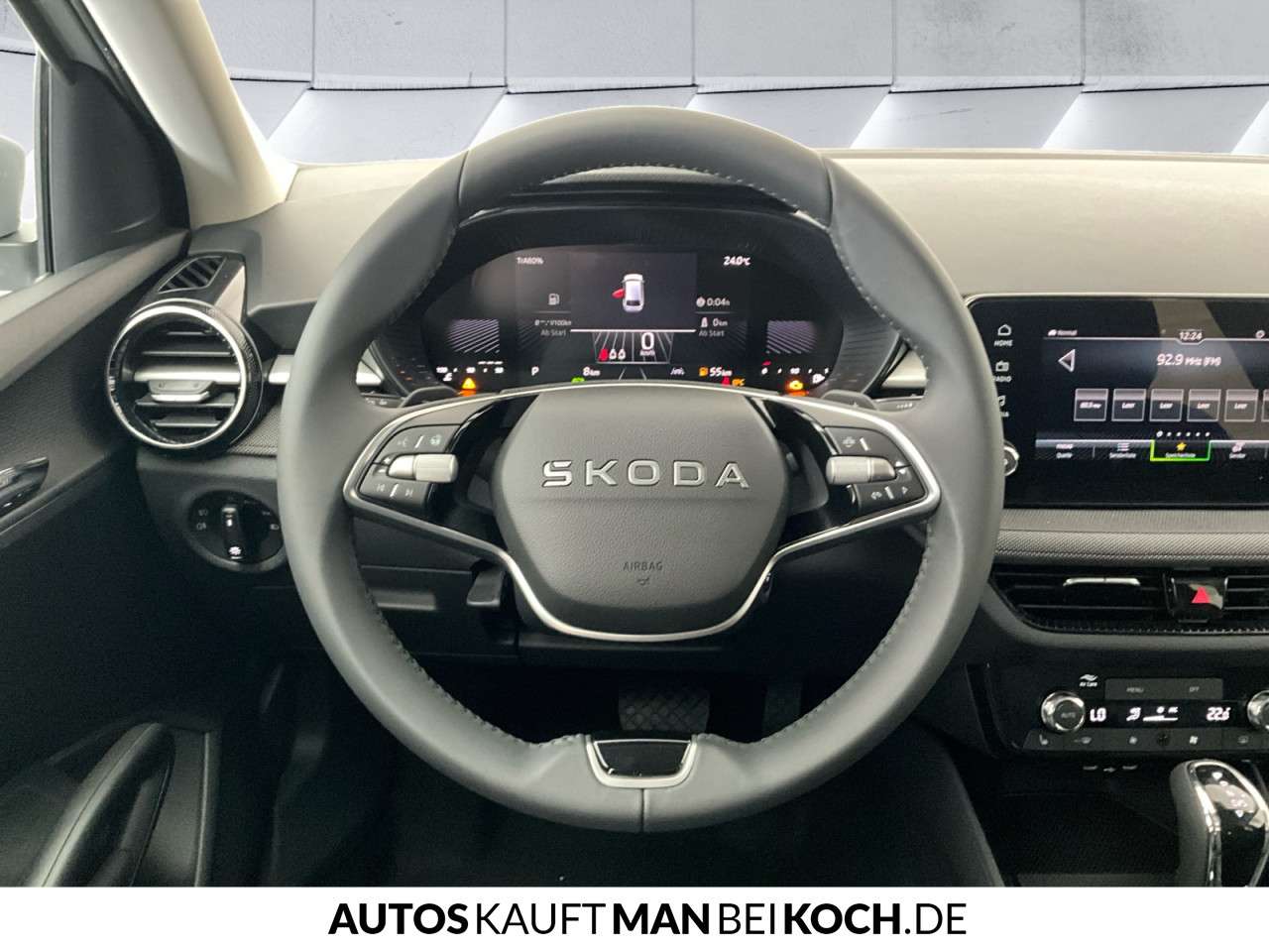 Fahrzeugbild eines Skoda Fabia