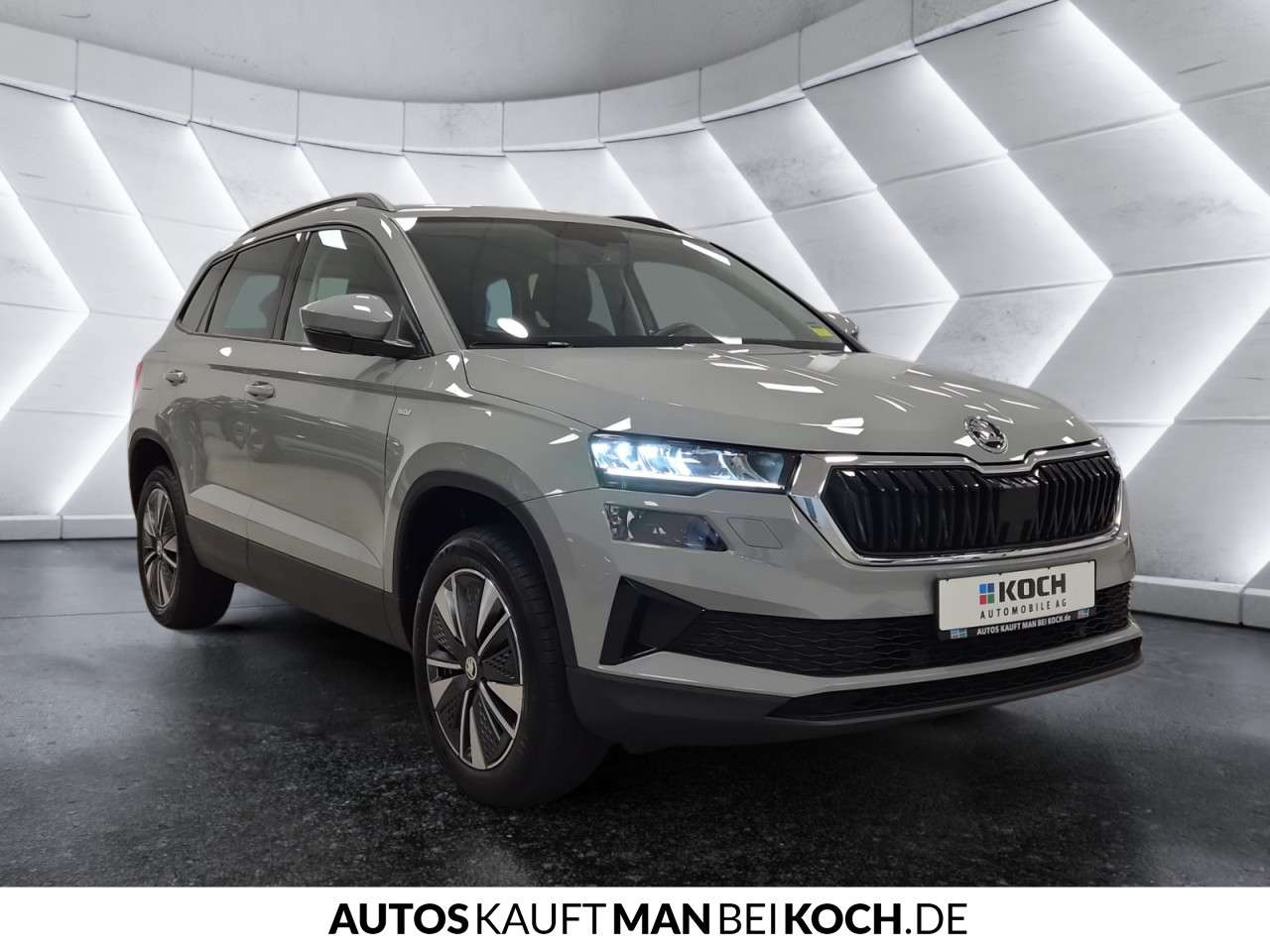 Fahrzeugbild eines Skoda Karoq