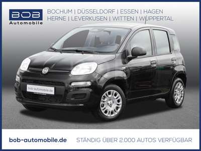 Bild Fiat Panda
