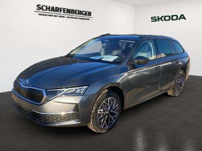 Bild Skoda Octavia