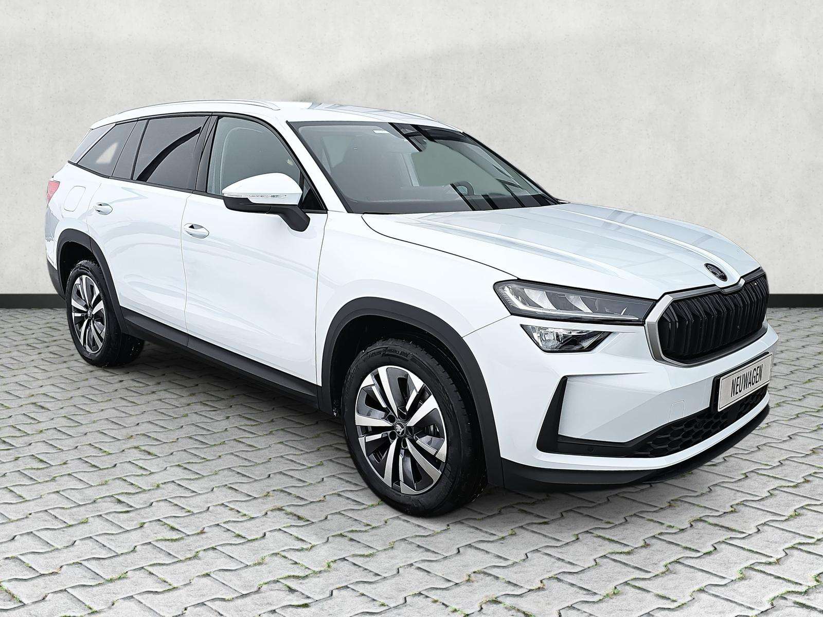 Fahrzeugbild eines Skoda Kodiaq