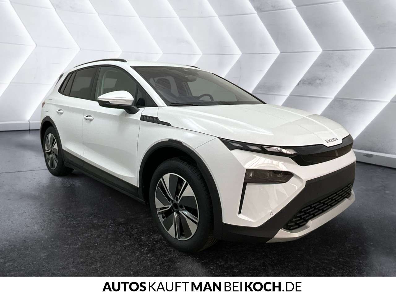 Fahrzeugbild eines Skoda ELROQ