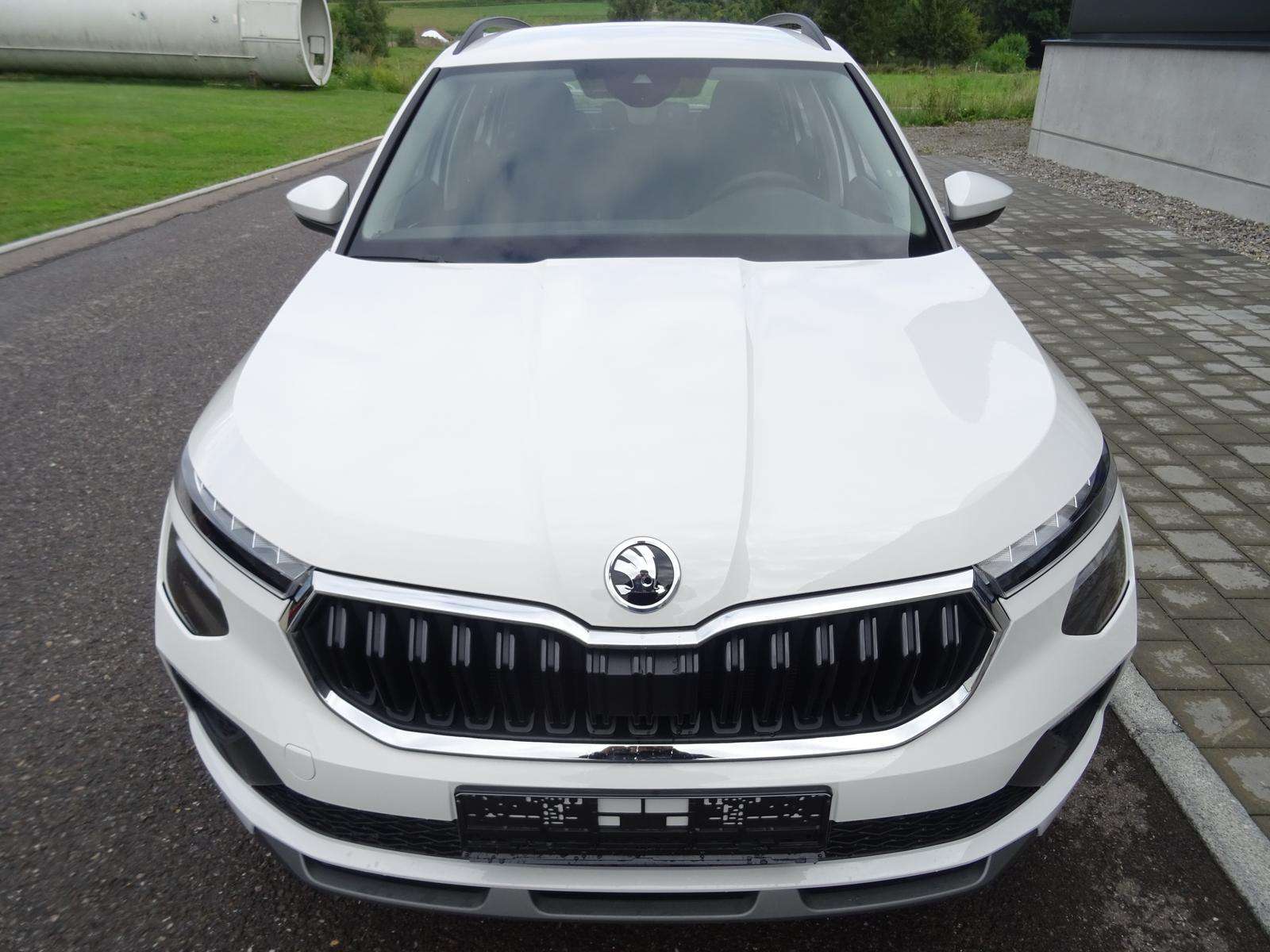 Fahrzeugbild eines Skoda Kamiq