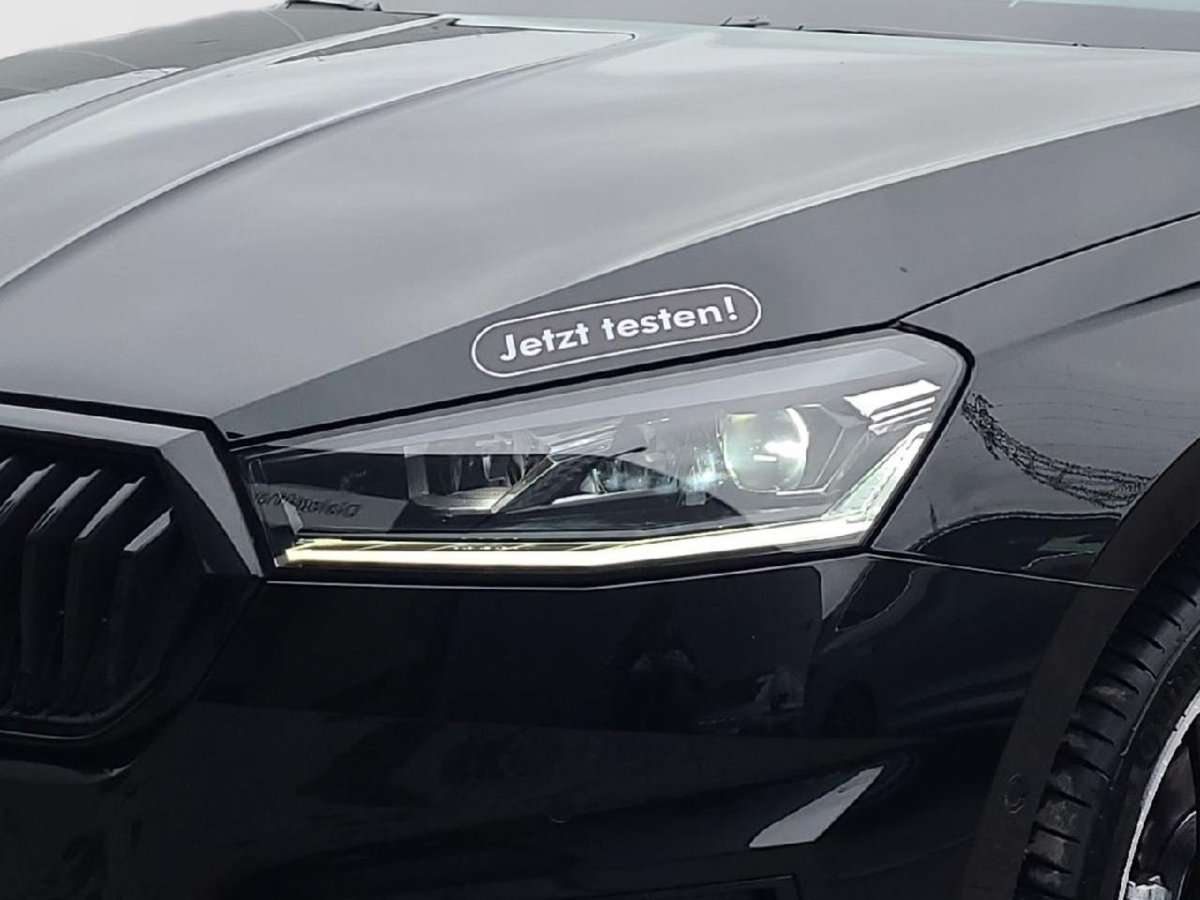 Fahrzeugbild eines Skoda Fabia
