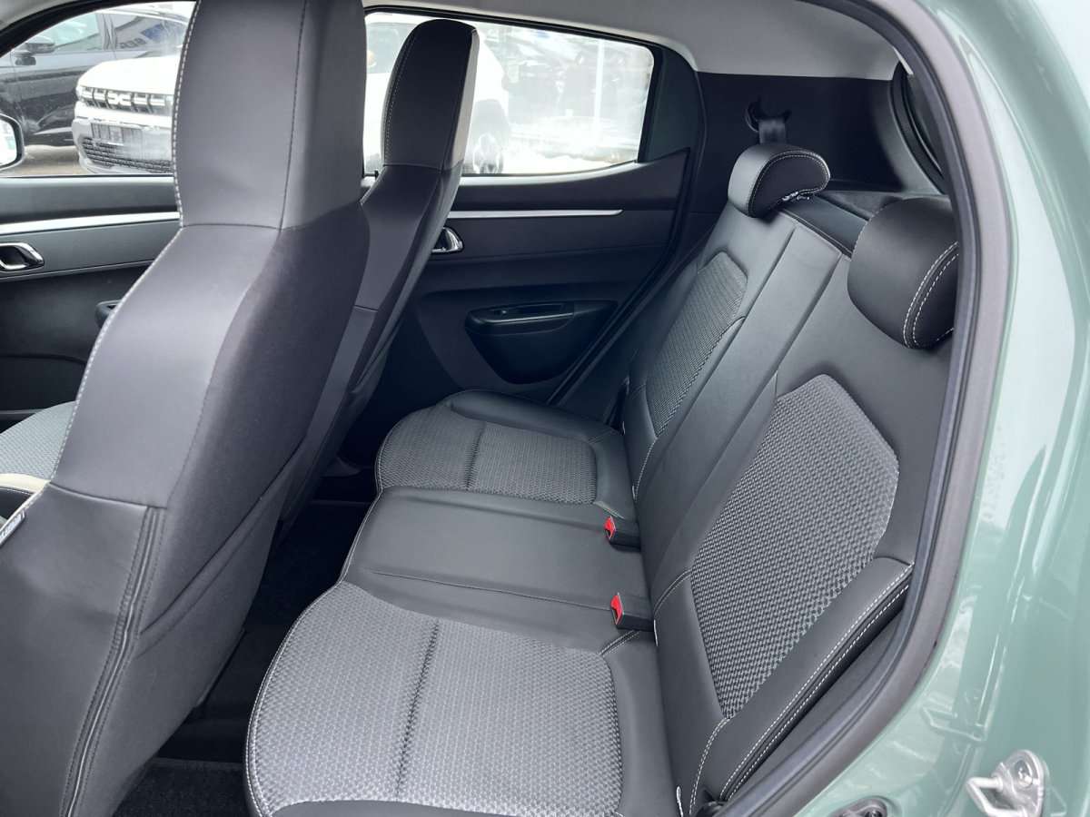 Fahrzeugbild eines Dacia Spring