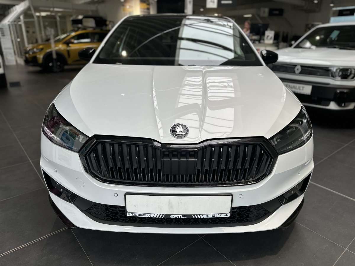 Fahrzeugbild eines Skoda Fabia
