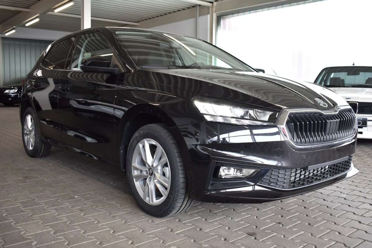 Fahrzeugbild eines Skoda Fabia