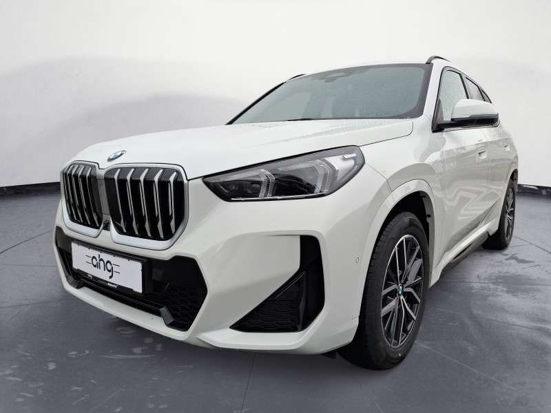 Fahrzeugbild eines BMW X1