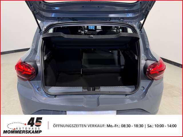 Fahrzeugbild eines Dacia Sandero