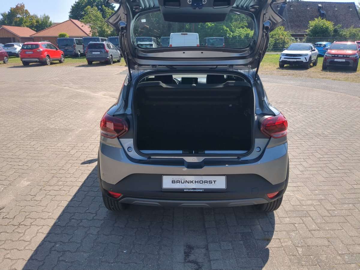 Fahrzeugbild eines Dacia Sandero