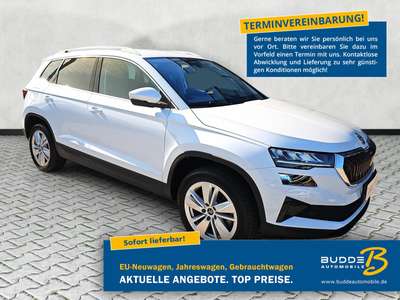Bild Skoda Karoq