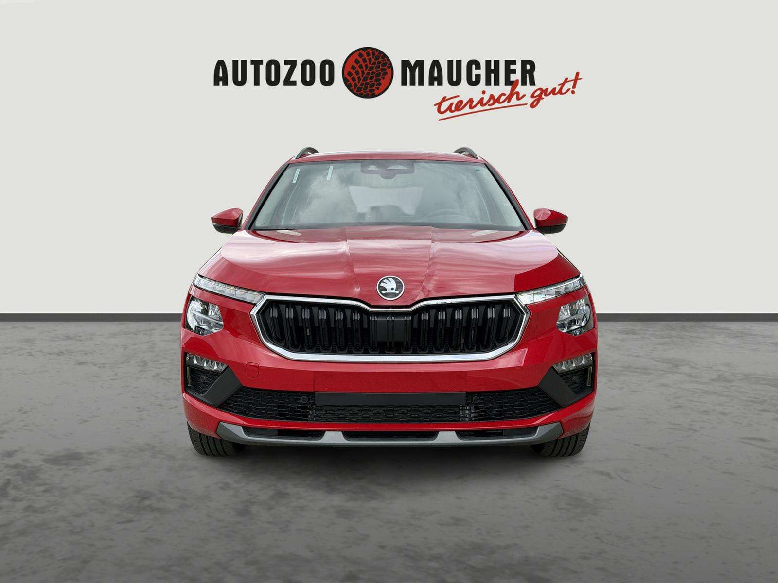 Fahrzeugbild eines Skoda Kamiq