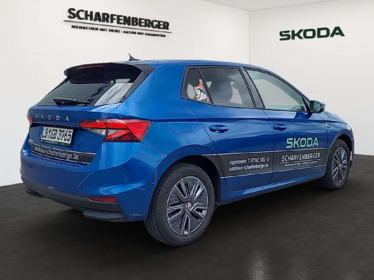 Fahrzeugbild eines Skoda Fabia