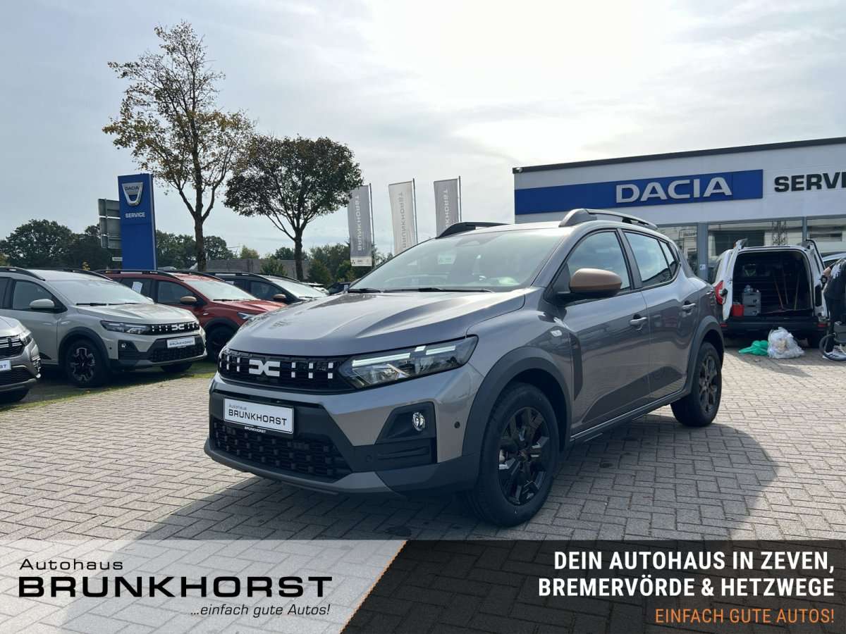 Fahrzeugbild eines Dacia Sandero