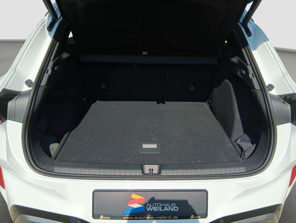 Fahrzeugbild eines CUPRA Terramar