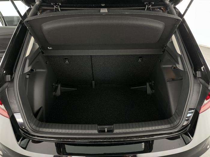 Fahrzeugbild eines Skoda Fabia