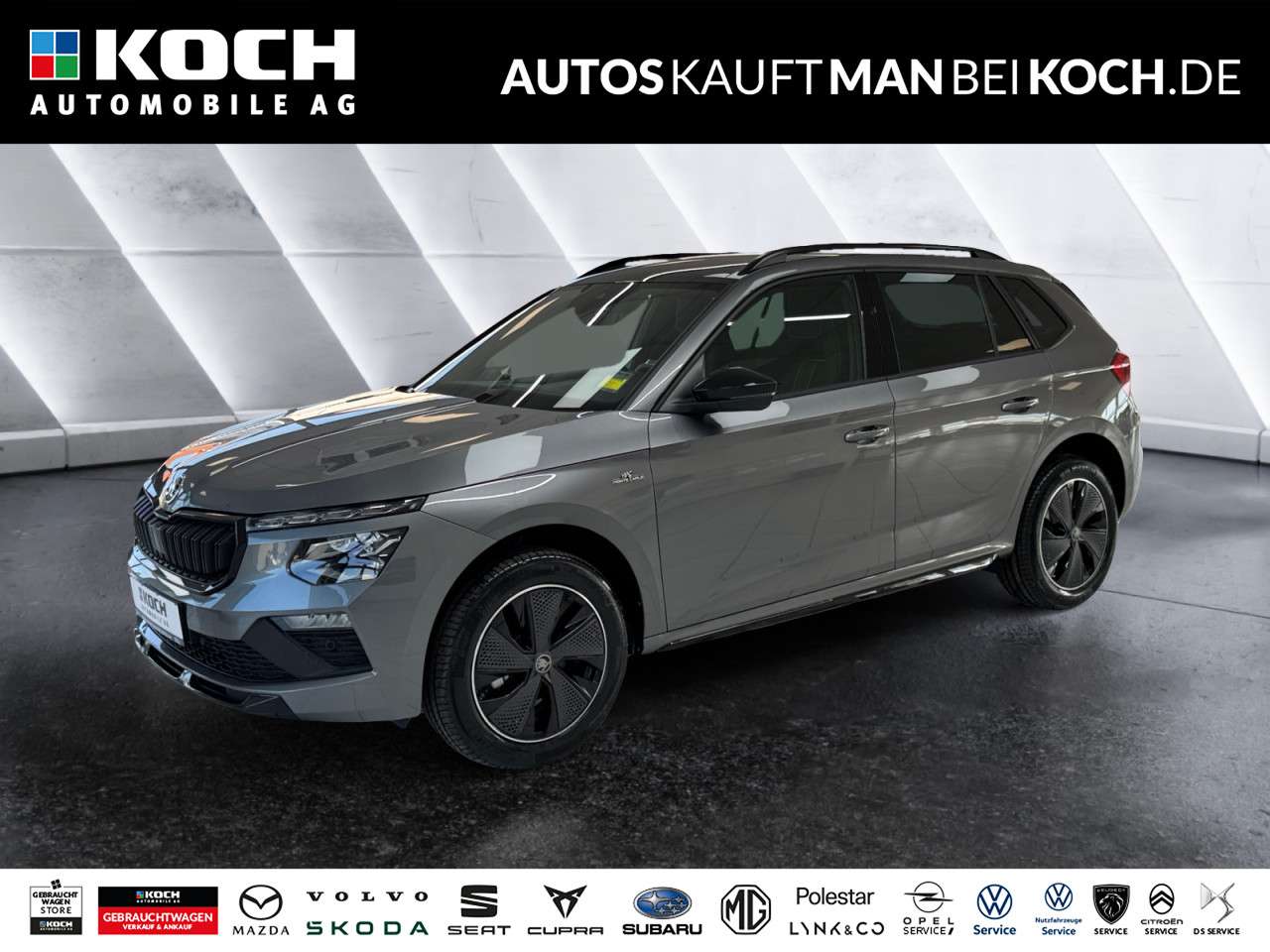 Fahrzeugbild eines Skoda Kamiq