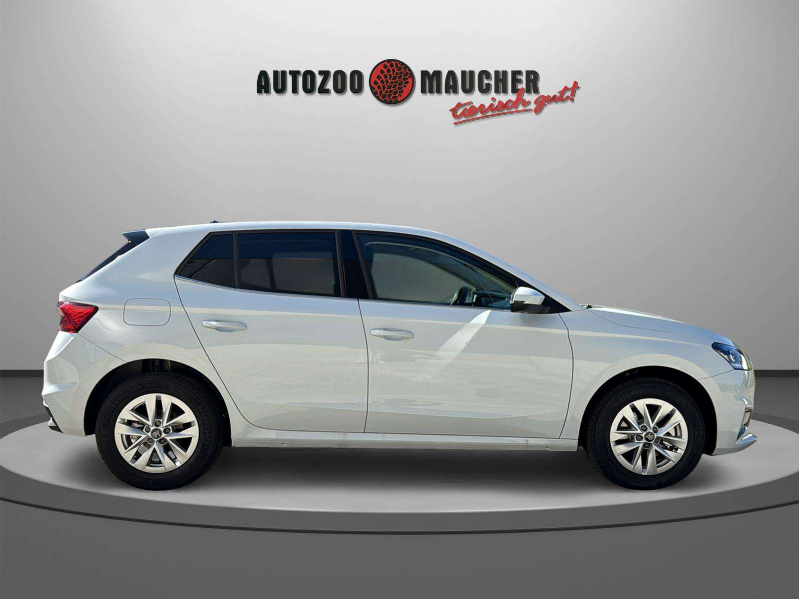 Fahrzeugbild eines Skoda Fabia