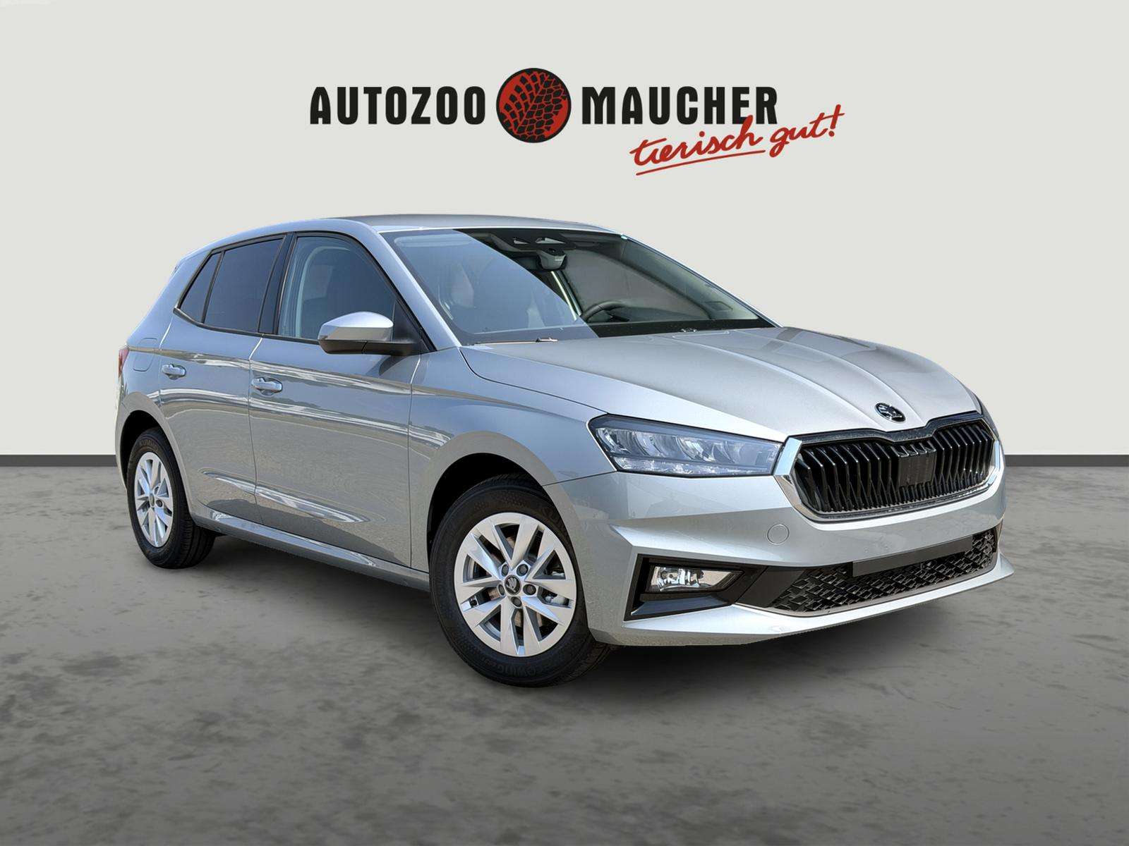 Fahrzeugbild eines Skoda Fabia