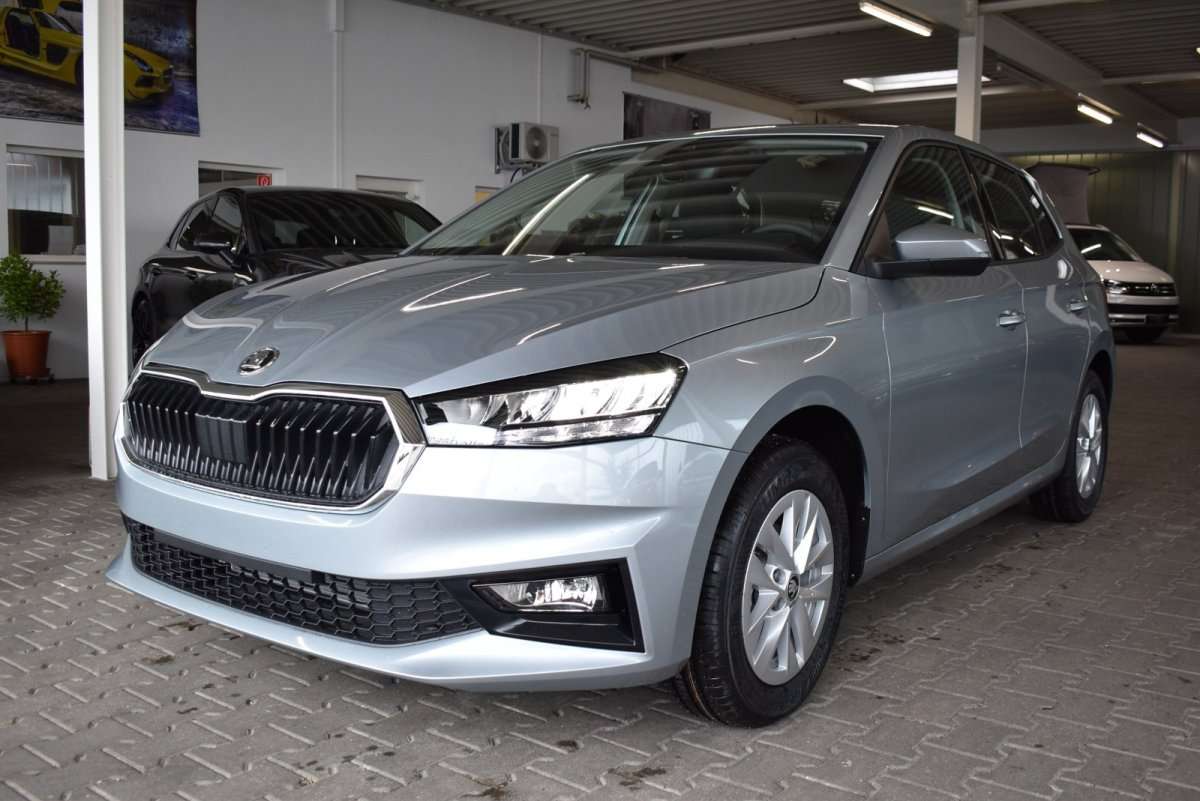 Fahrzeugbild eines Skoda Fabia