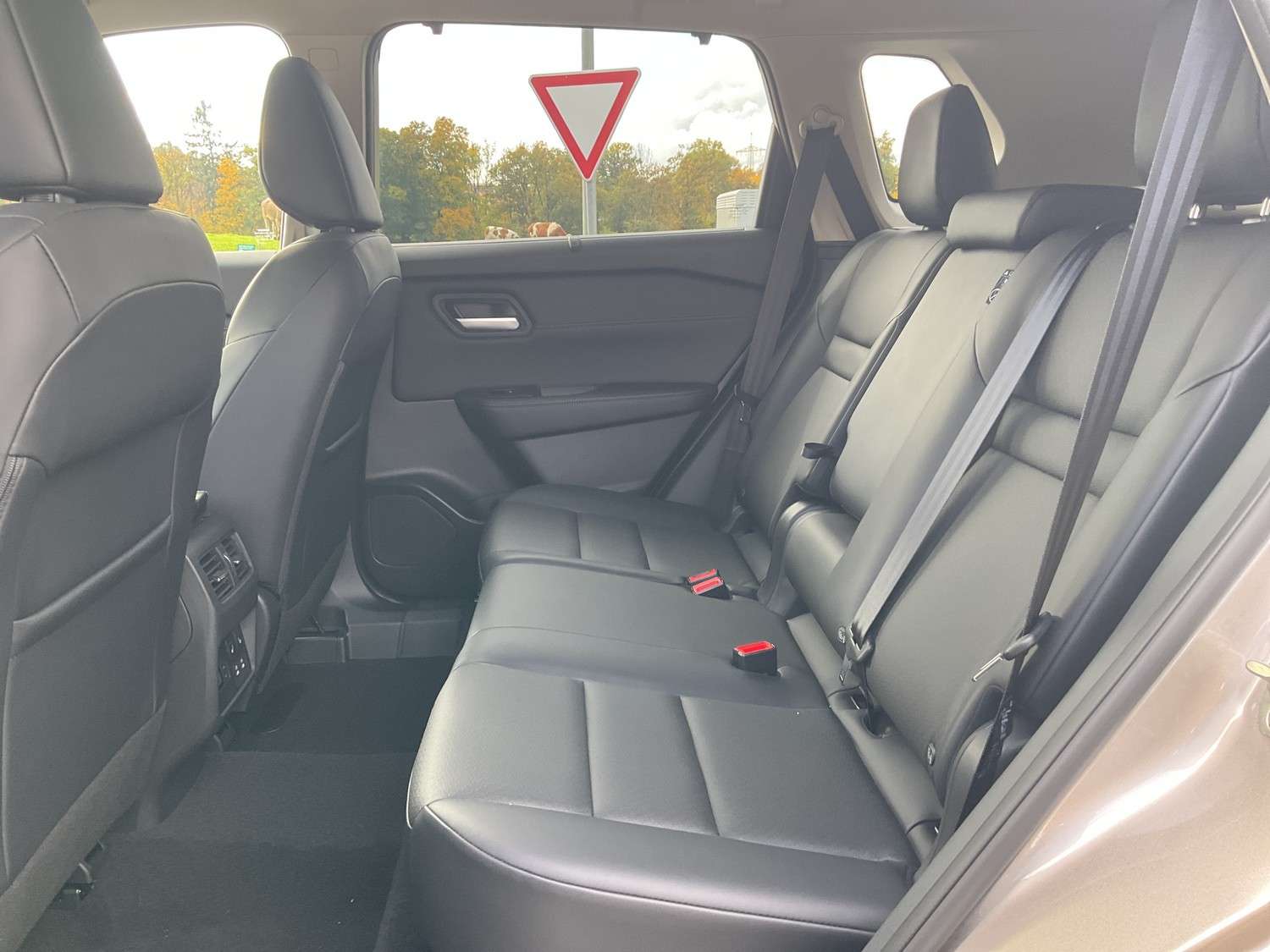 Fahrzeugbild eines Nissan X-TRAIL