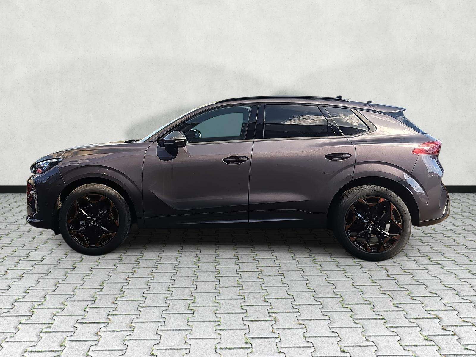 Fahrzeugbild eines CUPRA Terramar