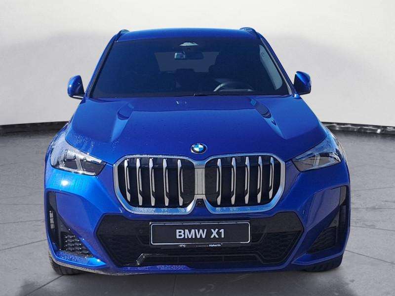 Fahrzeugbild eines BMW X1