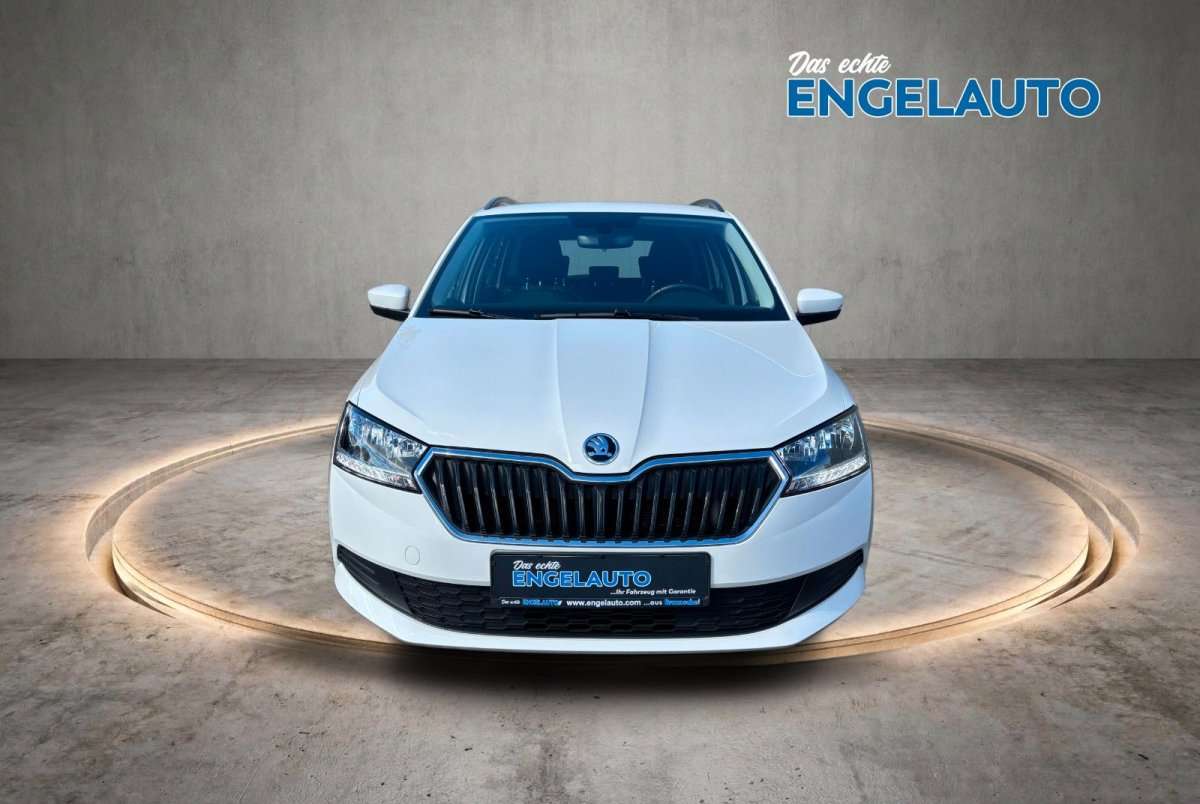 Fahrzeugbild eines Skoda Fabia