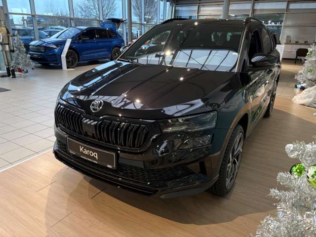 Fahrzeugbild eines Skoda Karoq