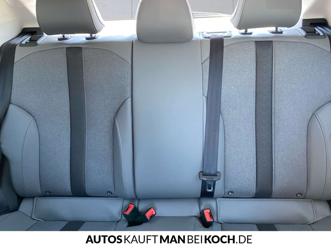 Fahrzeugbild eines MG MG4