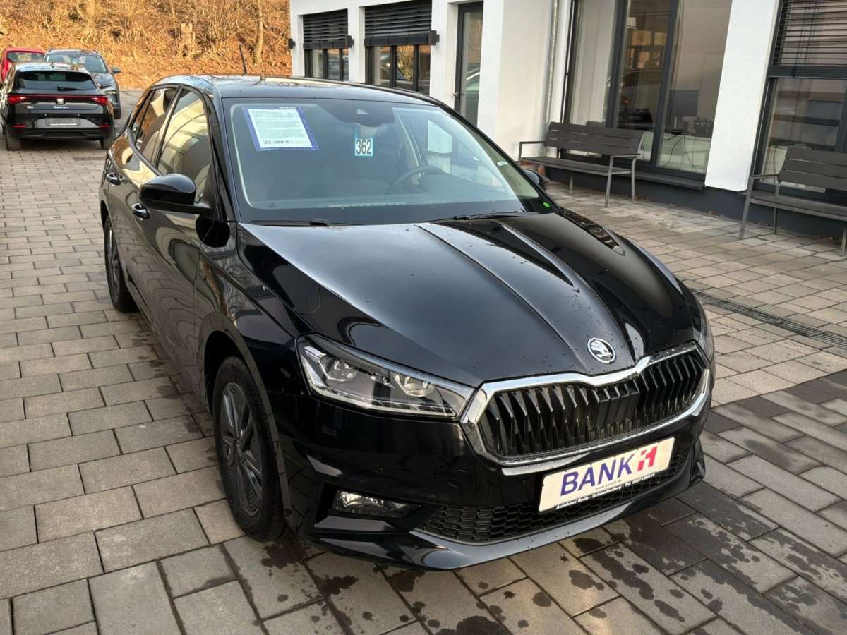 Fahrzeugbild eines Skoda Fabia