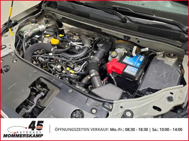Fahrzeugbild eines Dacia Sandero