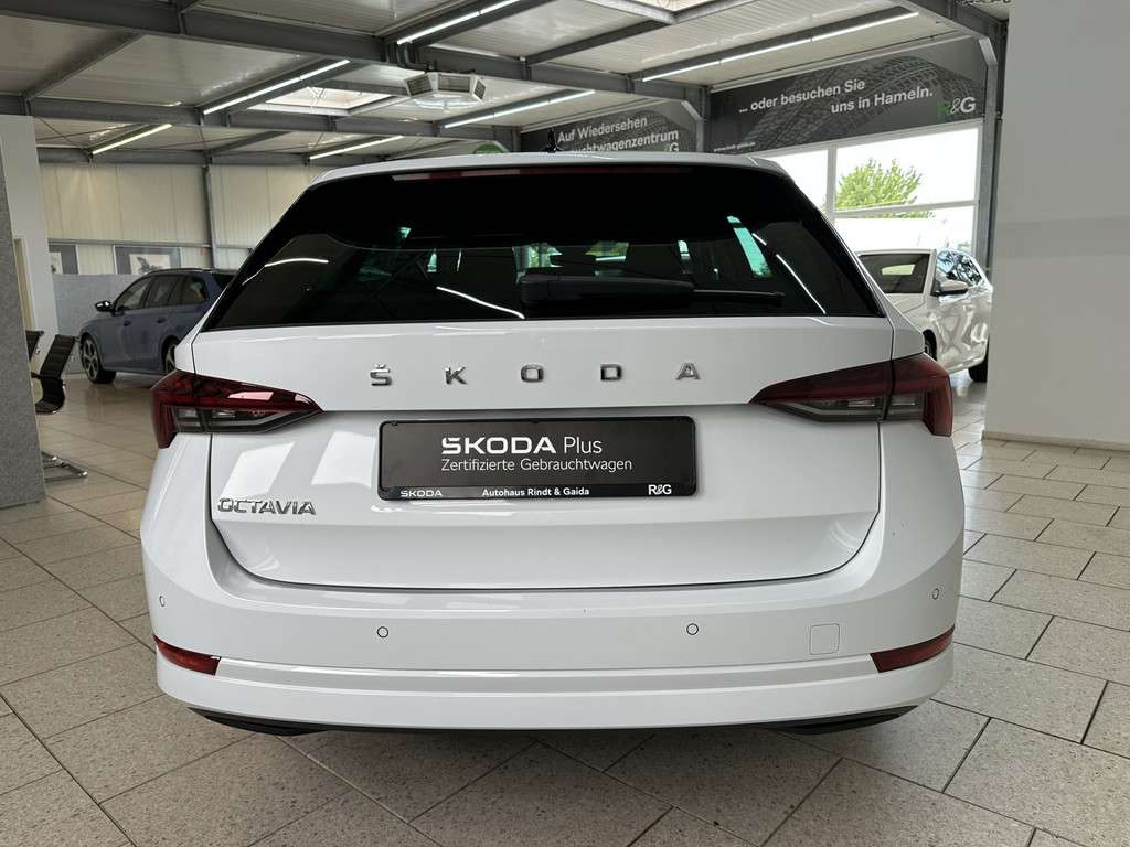 Fahrzeugbild eines Skoda Octavia