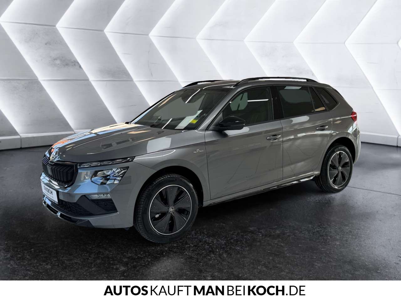 Fahrzeugbild eines Skoda Kamiq